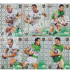 2008 Select Champions HF28-HF39 Holographic Foil Team Set Canberra Raiders