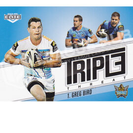 2013 ESP Elite TT13 Triple Threat Greg Bird