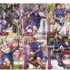2010 Select Champions 88-99 Common Team Set Newcastle Knights